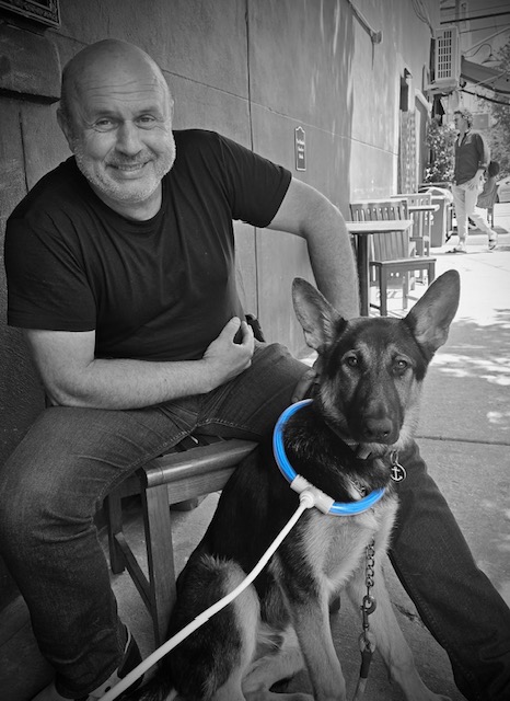 PEMF therapy collar for pet wellness and recovery